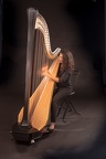 Tasha Smith - Harp